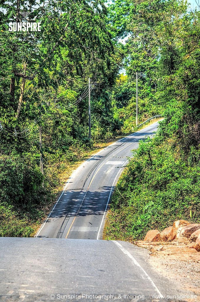 Road at Khao Yai National Park...