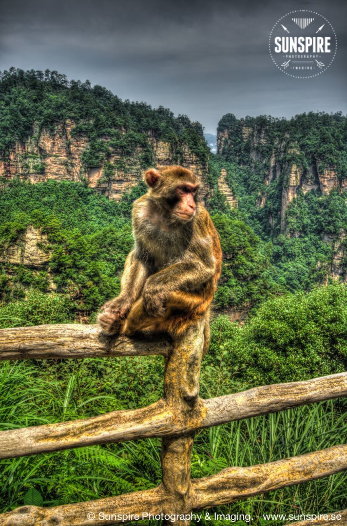Zhangiajie National Forest Park 07