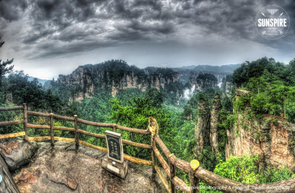 Zhangjiajie National Forest Park 15